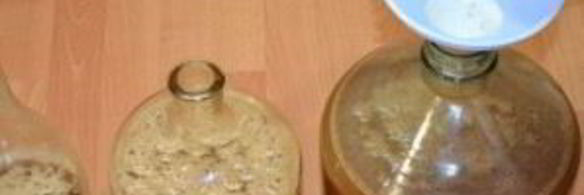 вино из яблок