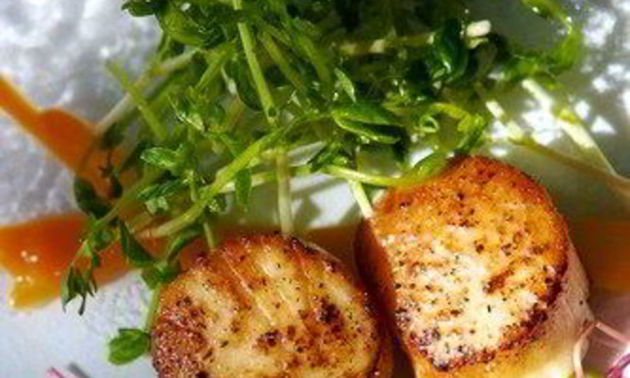 Рецепт жареных гребешков в соусе мисо и кленовом сиропе