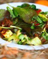 Праздничные рецепты