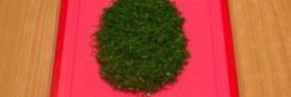 салат поляна грибника