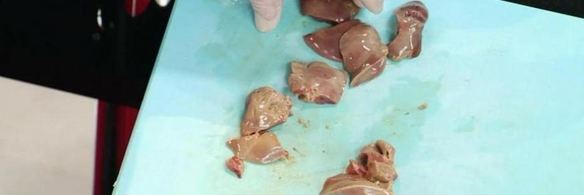 салат с куриной печенью и желудочками