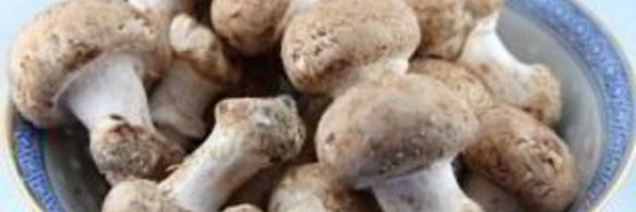 салат со свежими шампиньонами