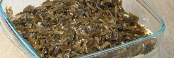 салат вегетарианская шуба