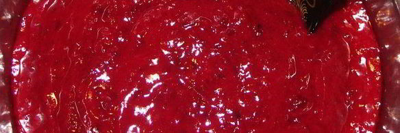 клюквенно-брусничный соус