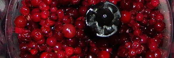 клюквенно-брусничный соус