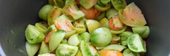 острый соус из зеленых помидоров и яблок в мультиварке