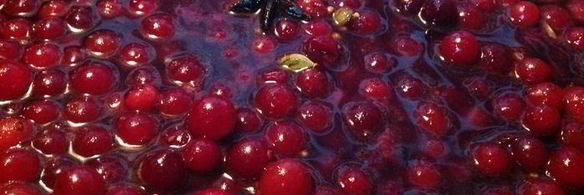 пикантный клюквенный соус к мясу