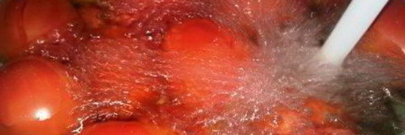 приправа-соус с ананасом и горьким перцем