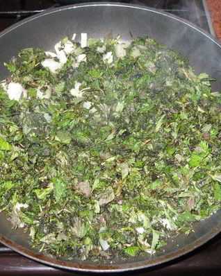 Заправка из крапивы