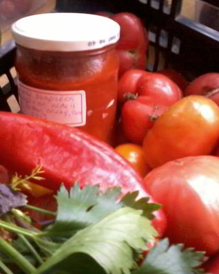 Заправка из помидоров и сладкого перца