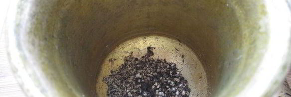 борщ с капустой