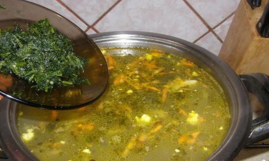 Рецепт борща со щавелем и яйцом