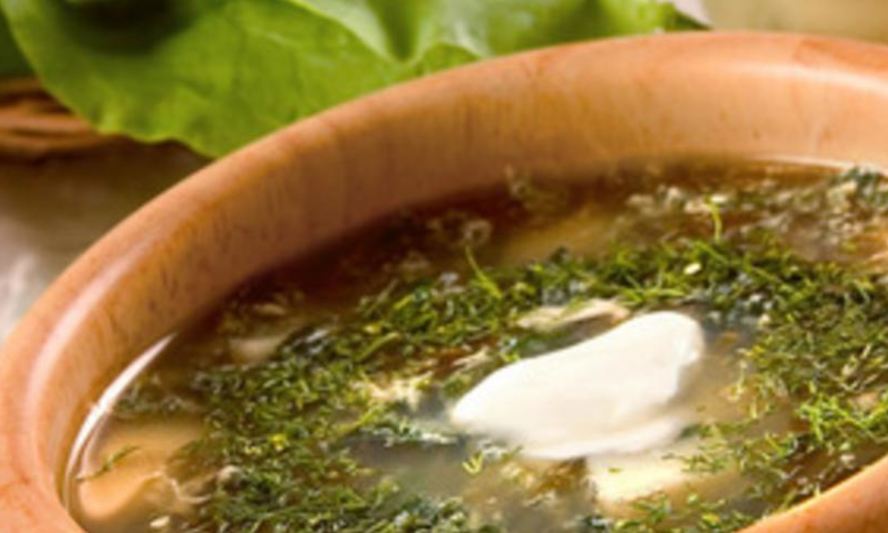 Рецепт борща зеленого с крапивой