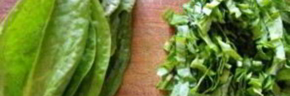 борщ зеленый украинский