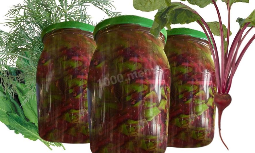 Рецепт борщевой заправки из морковной ботвы и щавеля