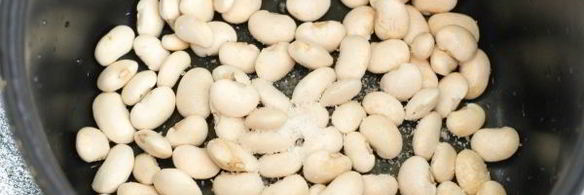 постный борщ в мультиварке