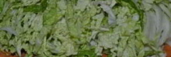 щавелевый борщ