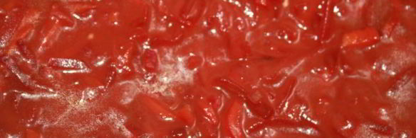 вкуснейший борщ с мраморной говядиной