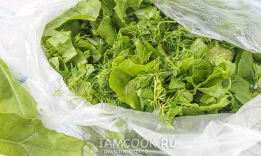 Рецепт заморозки для зеленого борща на зиму