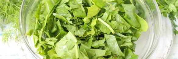 заморозка для зеленого борща на зиму