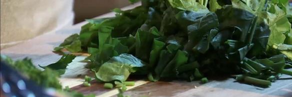 зеленый борщ из щавеля