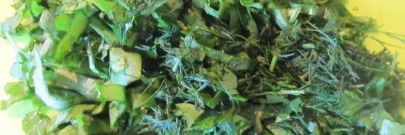 зеленый борщ с крапивой, щавелем и яйцом