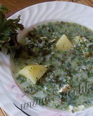 Зеленый борщ с крапивой