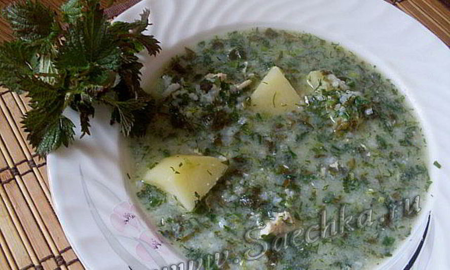 Рецепт зеленого борща с крапивой
