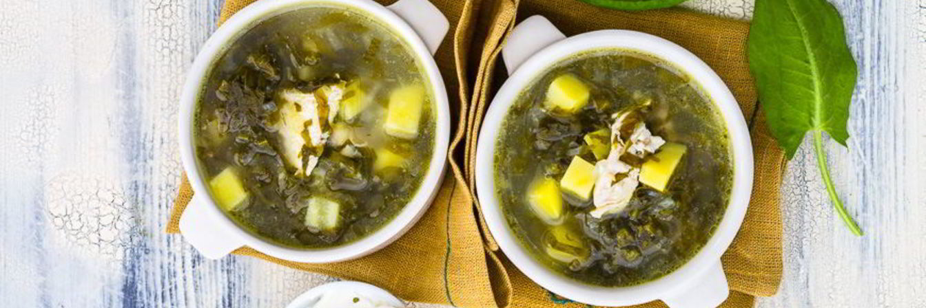 Зеленый борщ с щавелем