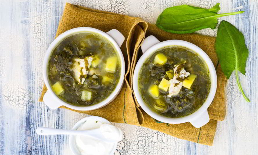 Рецепт зеленого борща с щавелем