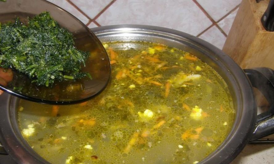 Рецепт зеленого борща со щавелем и яйцом