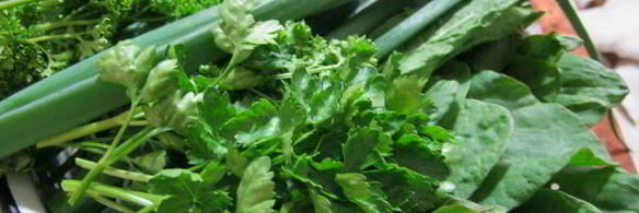 зеленый борщ