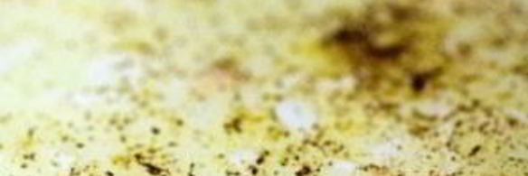 куриный суп с цветной капустой