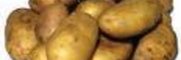 шпинатный суп