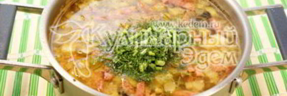 солянка сборная мясная