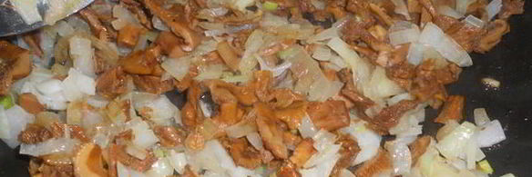 солянка сборная