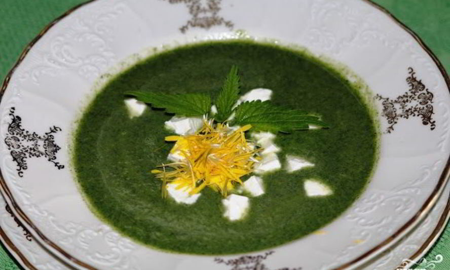 Рецепт супа из крапивы с брынзой