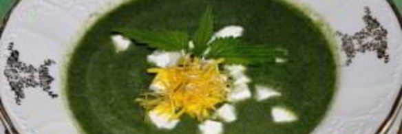 суп из крапивы с брынзой