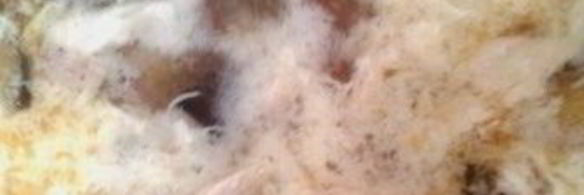 суп куриный с баклажанами и яйцом