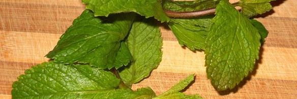 холодный мятный суп-пюре с яблоком и огурцом