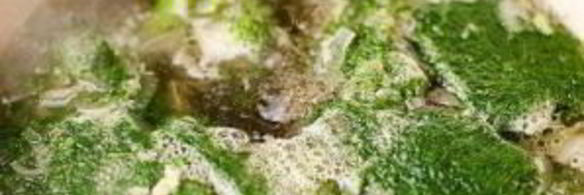 суп-пюре из брокколи без картофеля