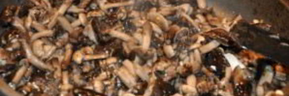 суп-пюре из опят