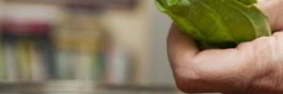 суп-пюре из помидоров с рисом