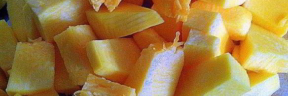 суп-пюре рыжая бестия