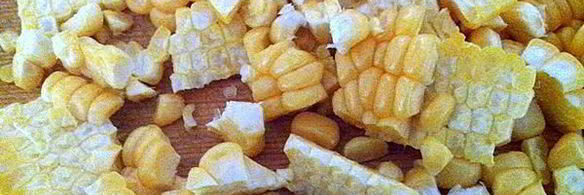 суп-пюре рыжая бестия