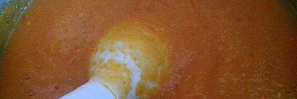 суп-пюре рыжая бестия