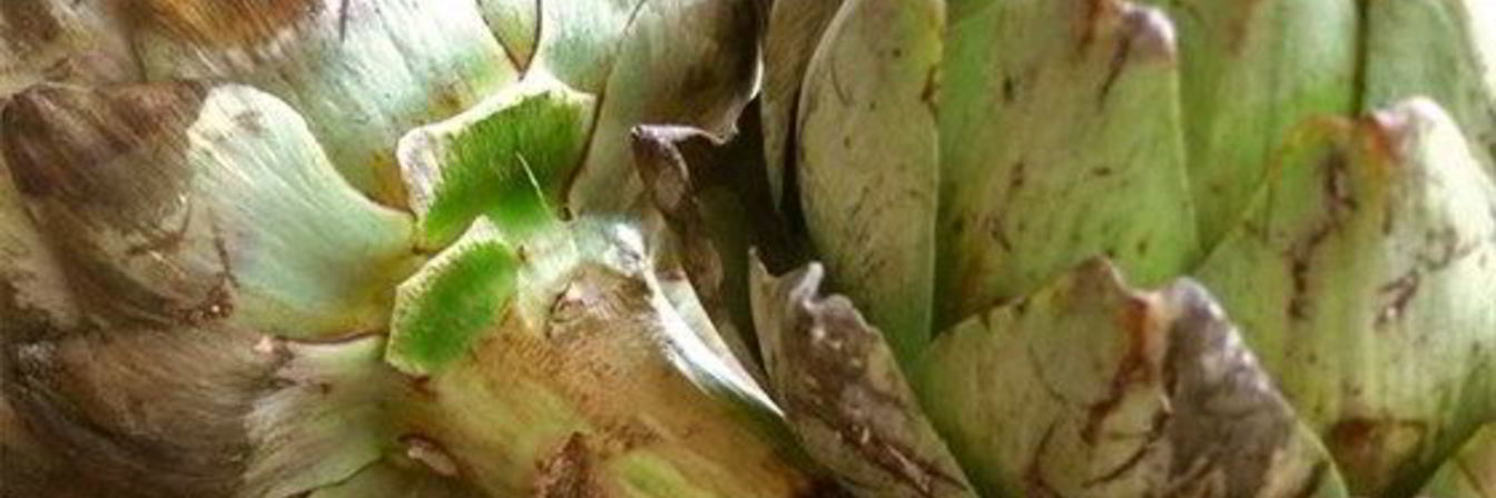 Суп-пюре с артишоками