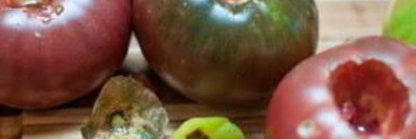 томатный суп-пюре итальянский