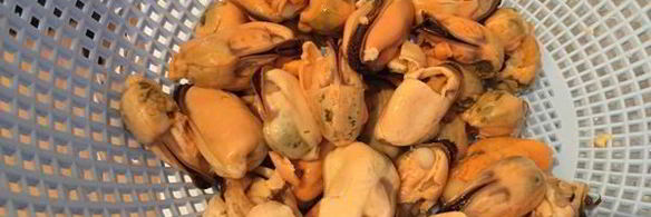 томатный суп-пюре с мидиями