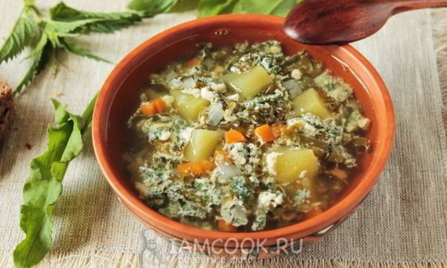 Рецепт супа с крапивой, щавелем и яйцом